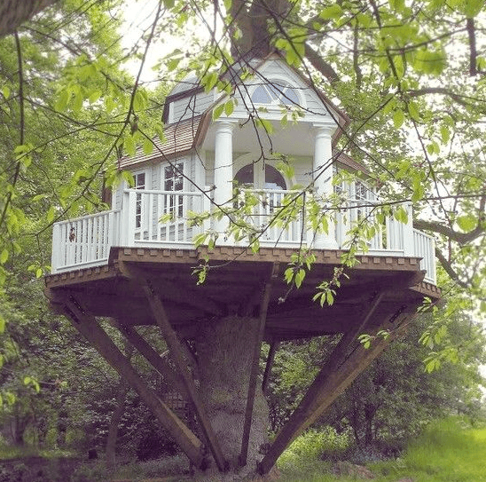 Dreamy Treehouses